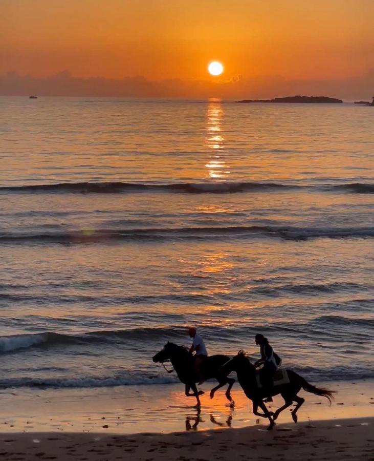 Prestigia Essaouira Mogador Luxury Ocean View Apartment ภายนอก รูปภาพ